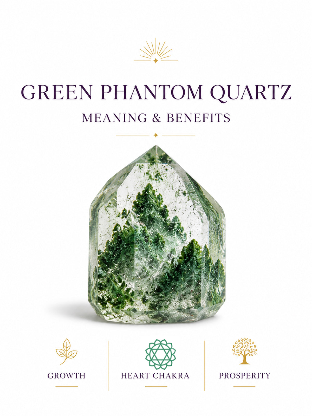 Green Phantom Meaning and Benefits ：Why Hasn’t Green Phantom Helped You Get Promoted Yet?