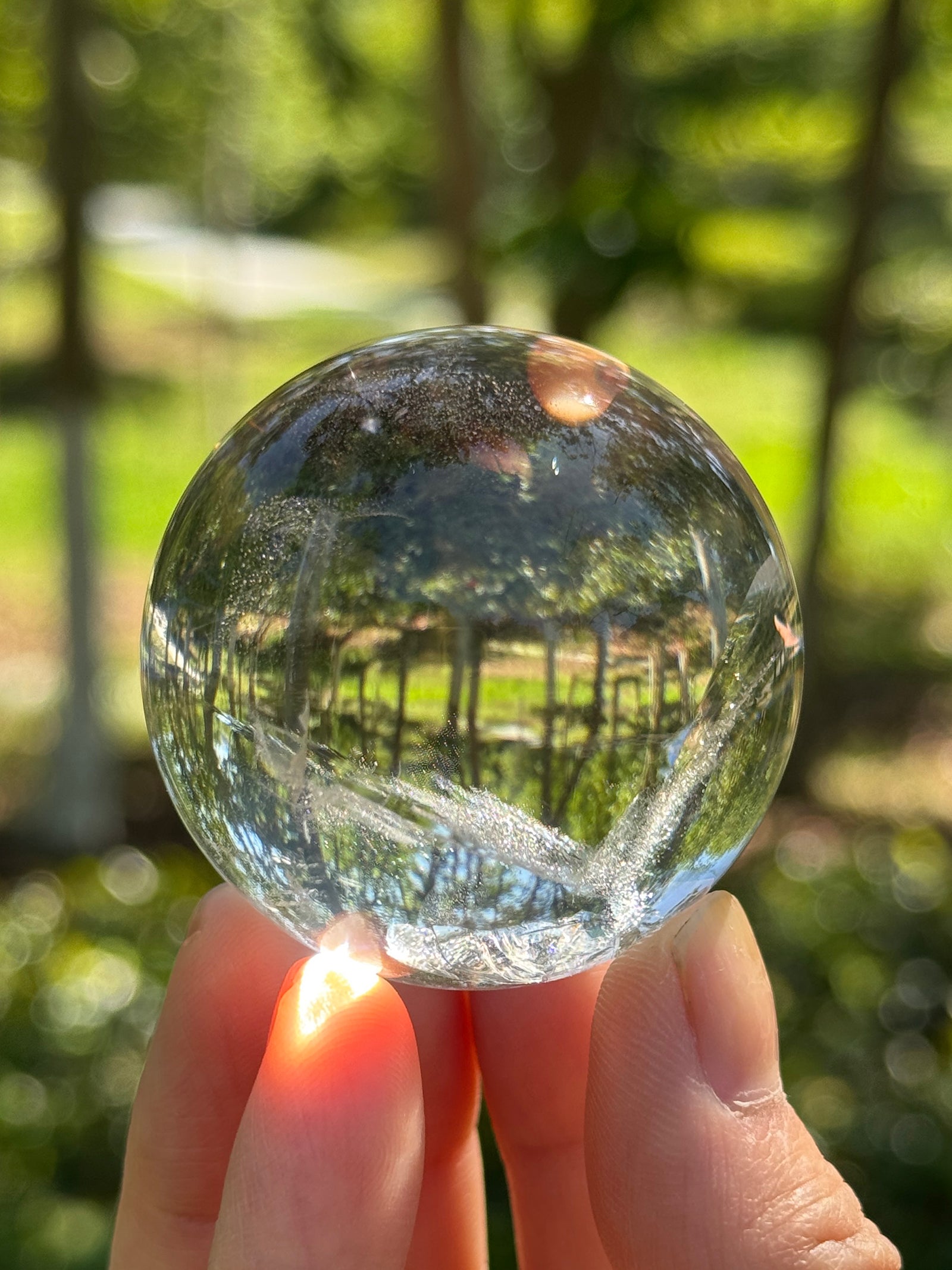  Natural rainbow clear quartz sphere styled in a calm forest-inspired setting

