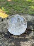 Clear quartz sphere resting on natural wood in a forest setting.
