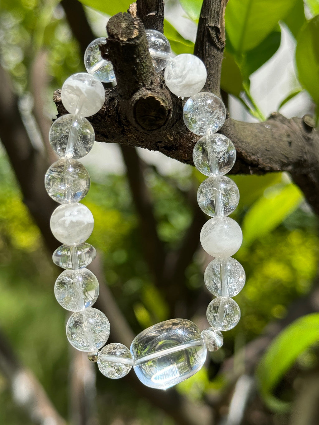 Clear quartz and white phantom crystal bracelet hanging on a tree branch in natural sunlight