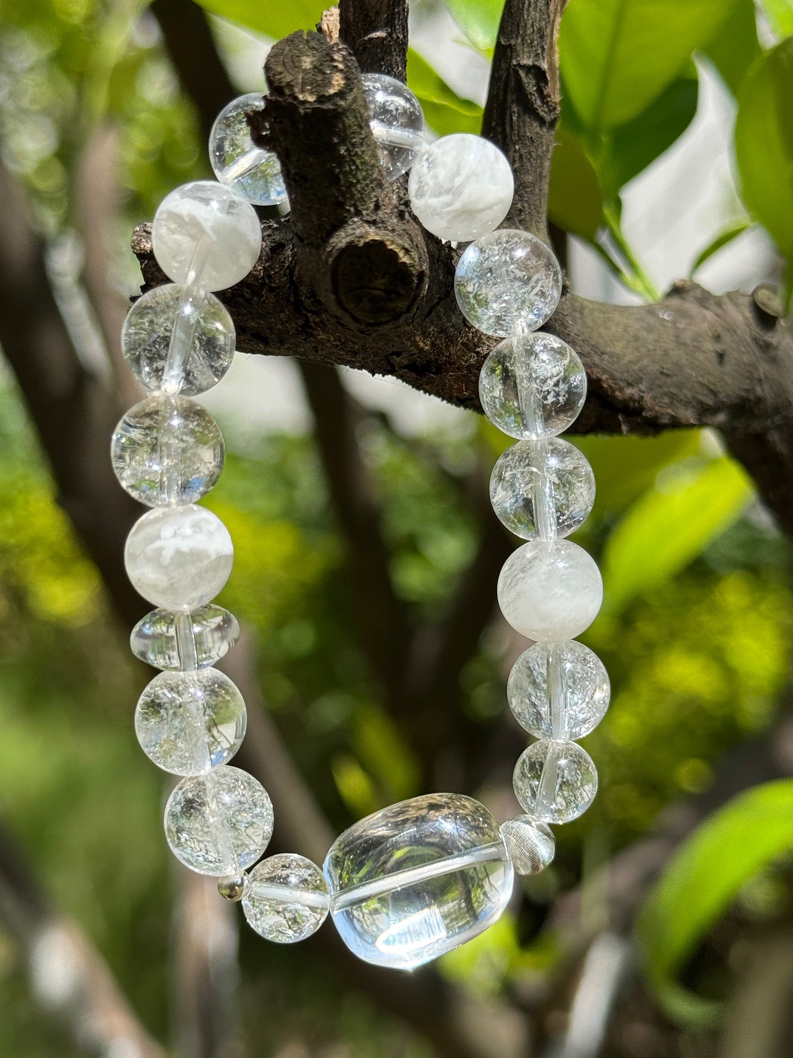 Clear quartz and white phantom crystal bracelet hanging on a tree branch in natural sunlight