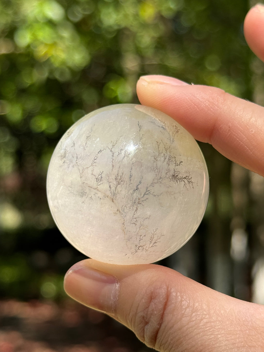 Close-up of natural tree-like inclusions inside a Fluorite crystal sphere