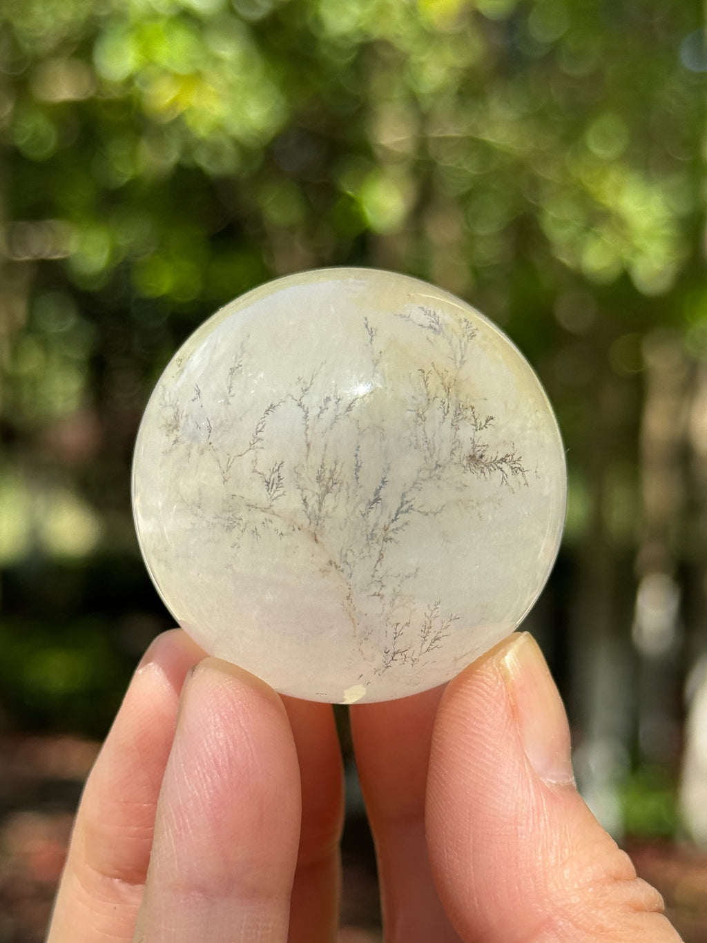Overall view of a Fluorite crystal sphere with natural tree-like landscape inclusions