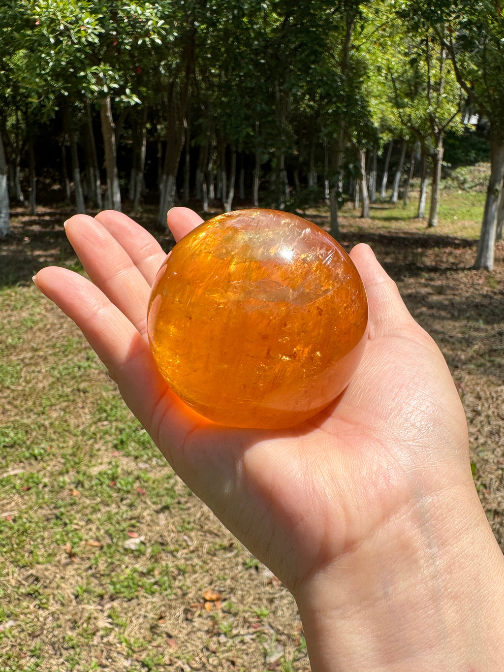 Honey calcite crystal sphere held in hand showing its size, warm golden translucency, and natural glow