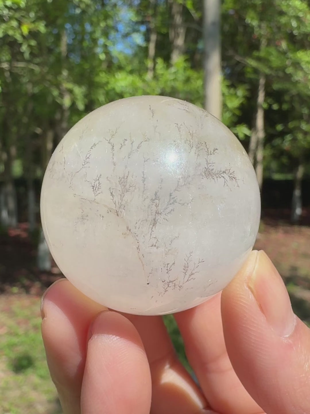 Scenic fluorite sphere with tree-like inclusions filmed in a peaceful forest setting