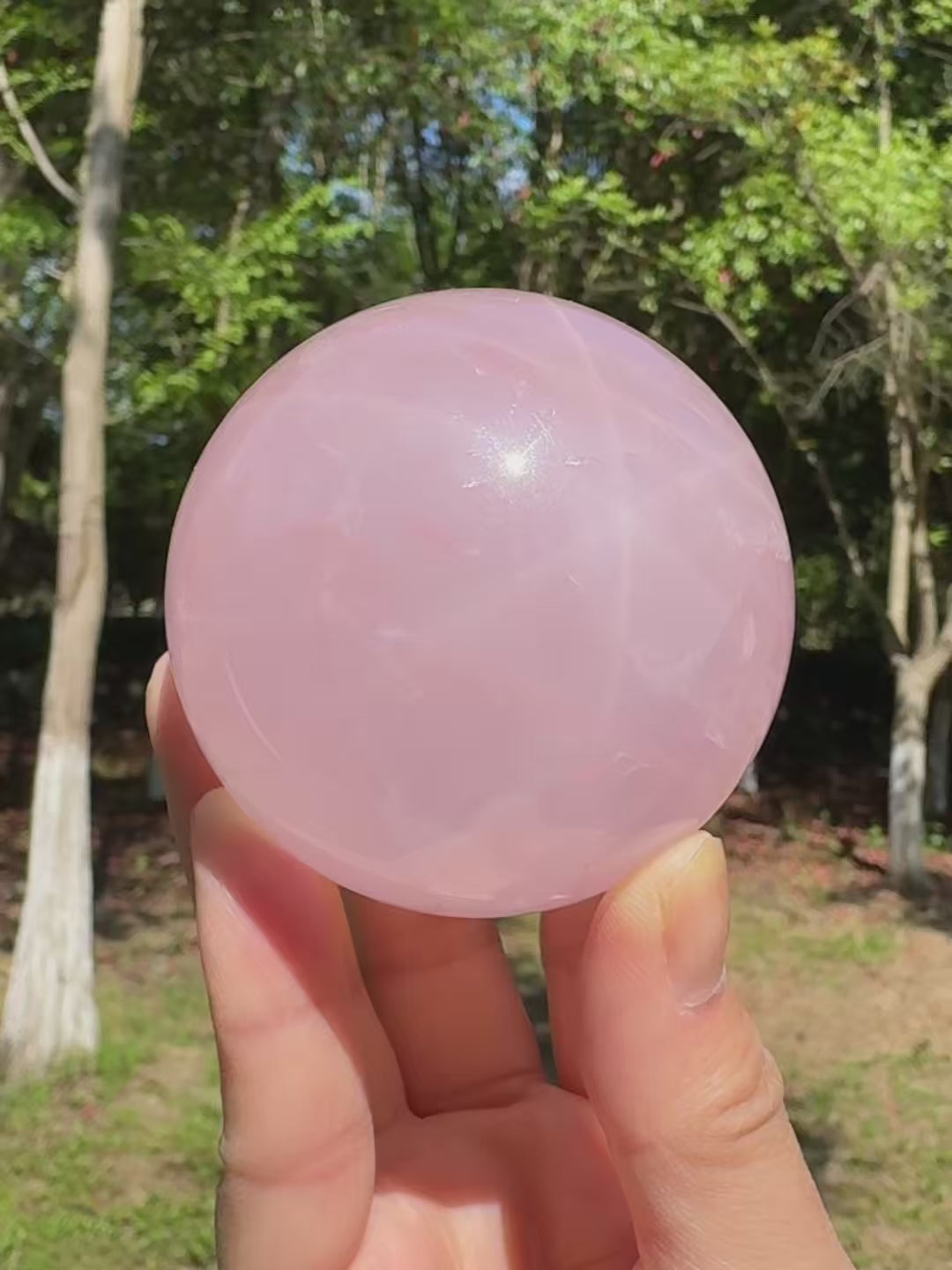 https://cdn.shopify.com/videos/c/o/v/92b91017da6f4d4d8463d7ea2d3f7667.mp4