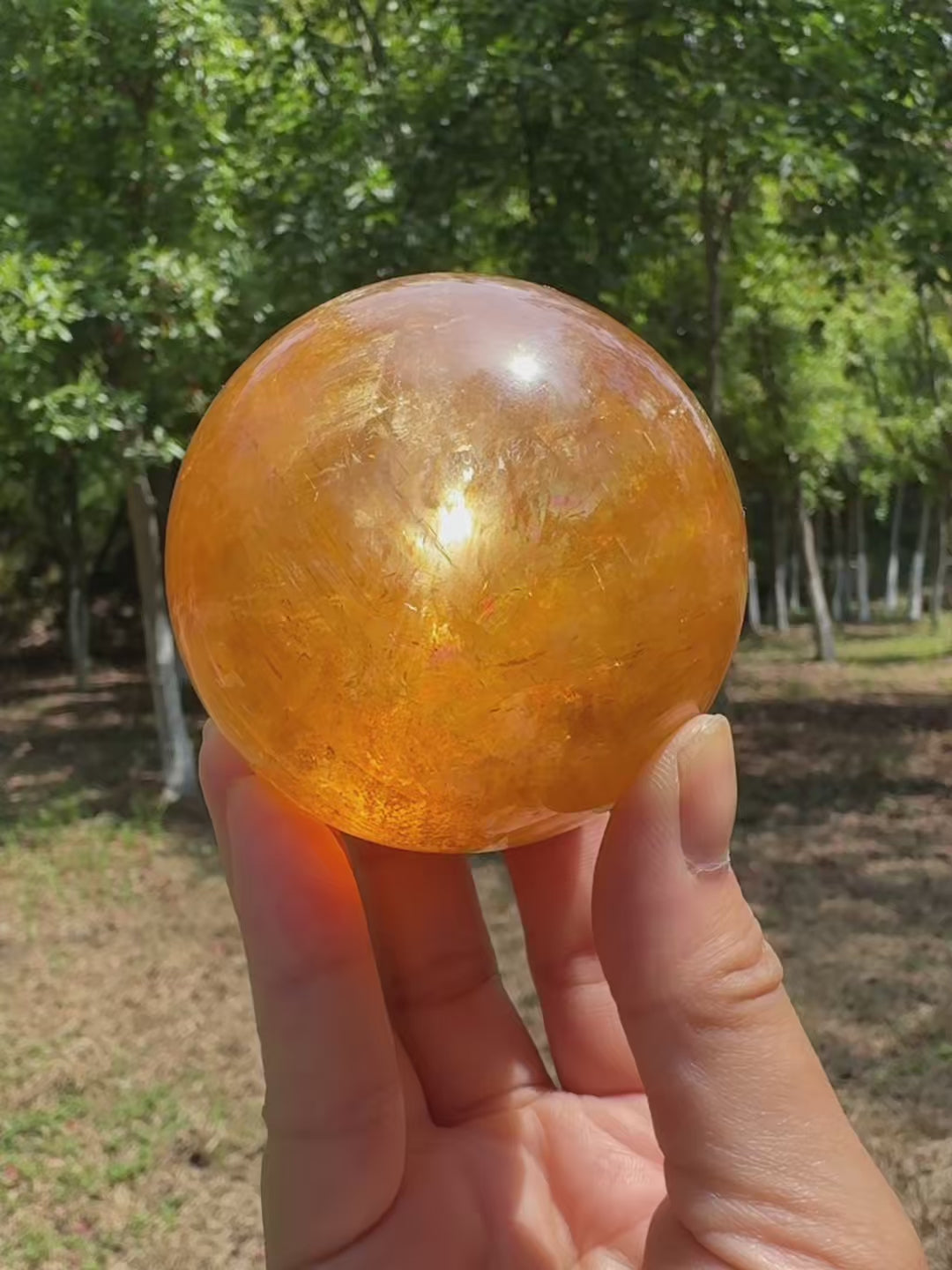 Natural honey calcite crystal sphere glowing under sunlight with warm golden translucency and internal rainbow reflections