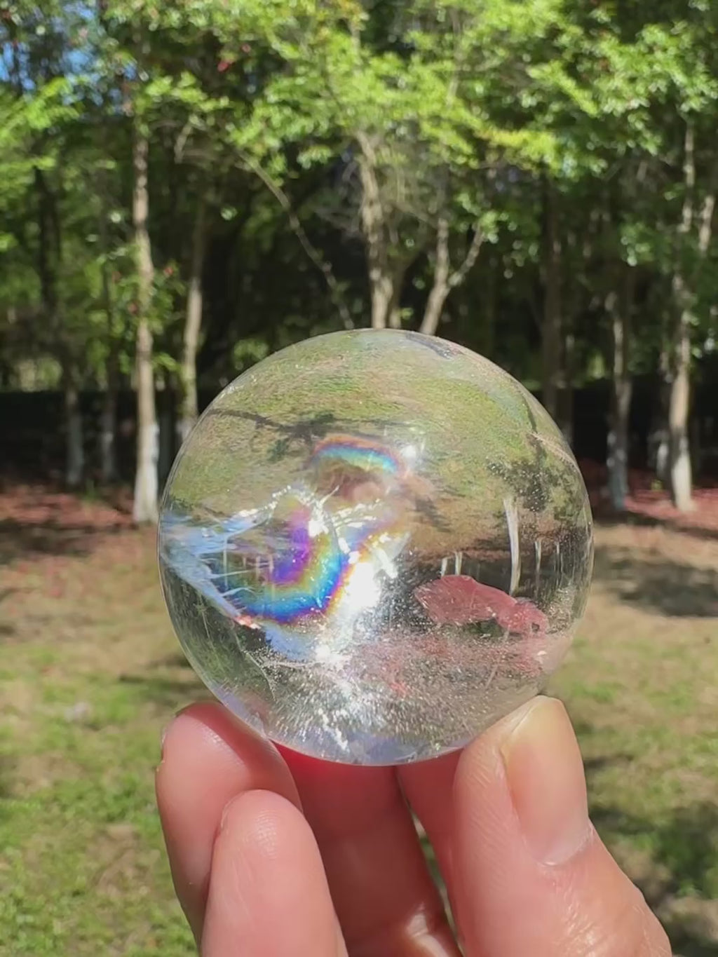 Natural rainbow clear quartz sphere glowing under sunlight with visible internal rainbows and transparent crystal clarity