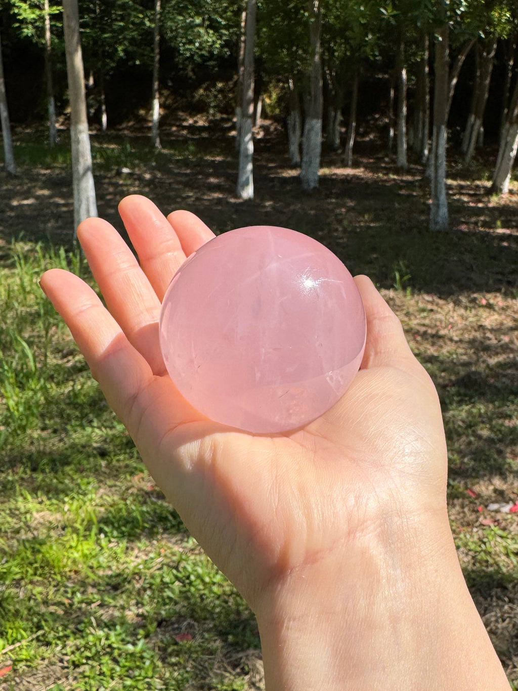 Rose quartz crystal sphere held in hand showing its size, soft pink glow, and natural translucent texture