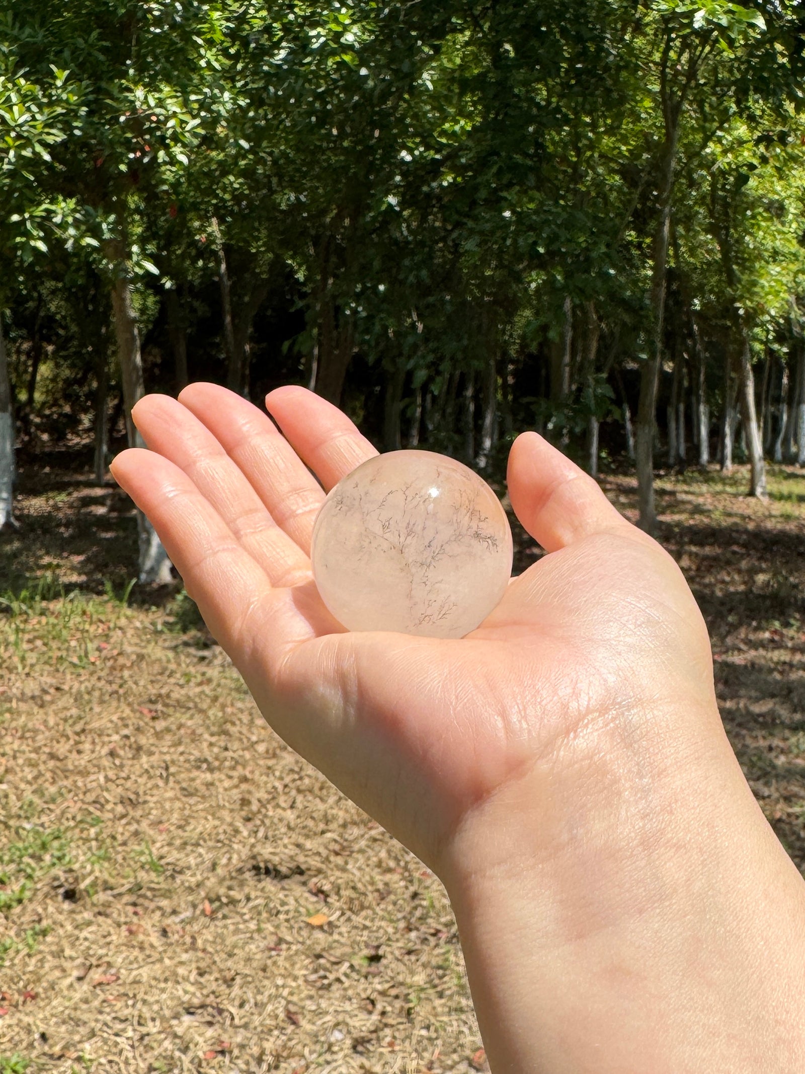 Scenic fluorite crystal sphere with tree-like landscape patterns held in hand showing natural misty layers, soft gradient colors, and size reference