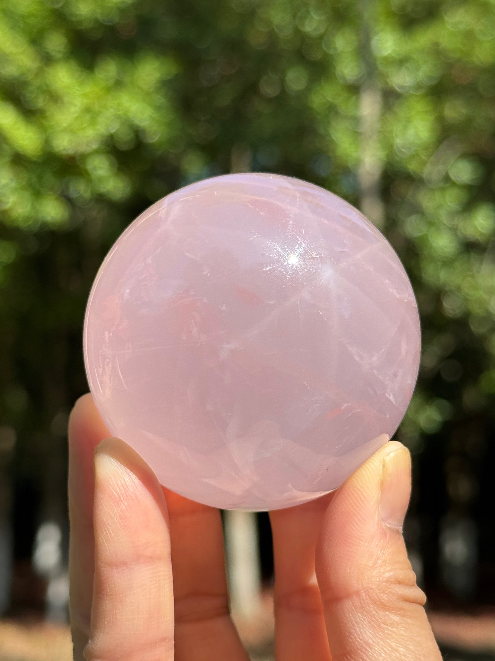 Star Rose Quartz sphere photographed under natural sunlight, showing its soft glow and overall crystal structure
