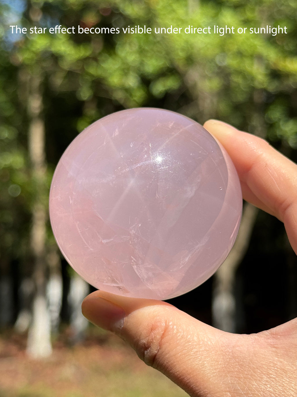 Close-up of the natural star effect visible inside a Star Rose Quartz sphere under direct sunlight
